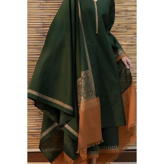DYOT-3PC DHANAK – Elegant Embroidered Suit DF-DH-01