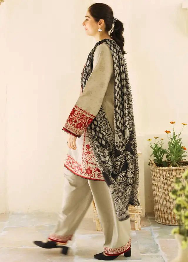Aisling-3PC DHANAK – Elegant Embroidered Suit DF-DH-26