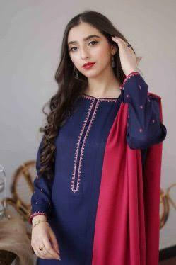 Aisling-3PC DHANAK – Elegant Embroidered Suit DF-DH-19